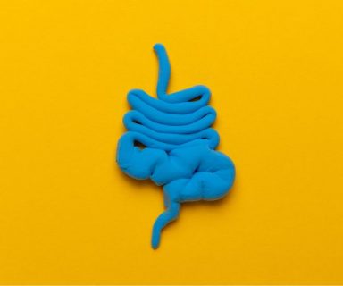 A blue clay model of intestines set against a yellow background.